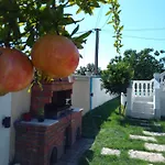 فيلة Mondi دراس