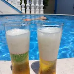 Mondi فيلة *