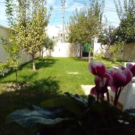 Mondi Villa
