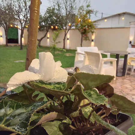 Mondi Villa