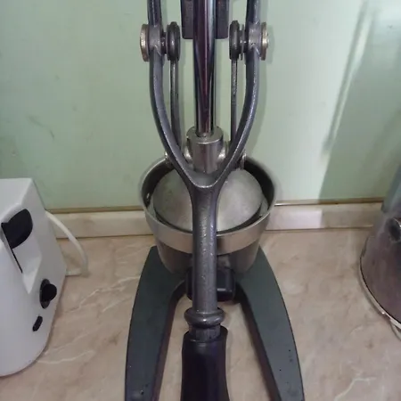 Mondi فيلة دراس